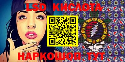 МДПВ Кингисепп