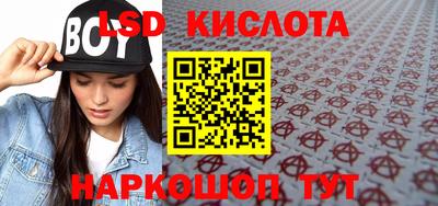 МДПВ Кингисепп