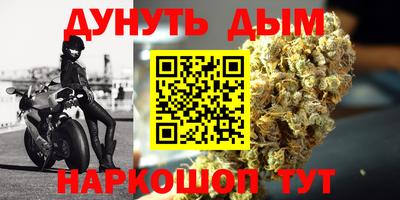 МДПВ Кингисепп