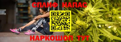 гашик Кинель