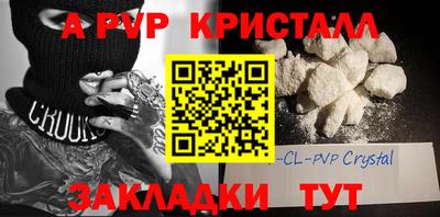 МДПВ Кингисепп