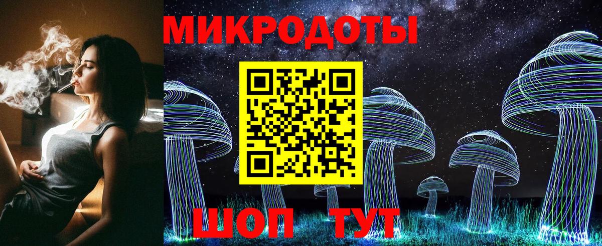 Псилоцибиновые грибы Cubensis  Вход с VPN  Кулебаки 